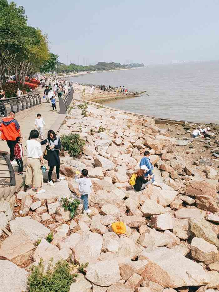 深圳湾公园北湾鹭港"住在南山区,离海边很近,有事没事随时都可.