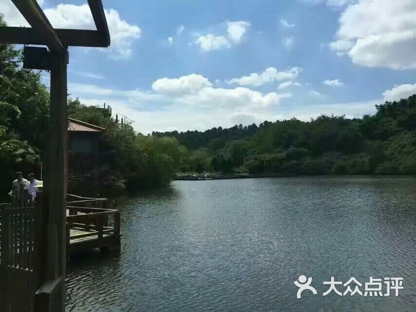 凤凰湖原生态休闲山庄图片 - 第61张