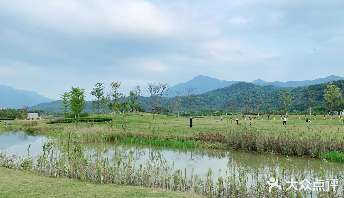 溜娃胜地,从化流溪河从都湿地公园