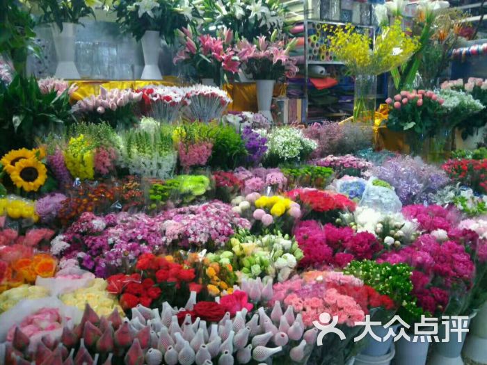 莱太花卉市场-图片-北京购物-大众点评网