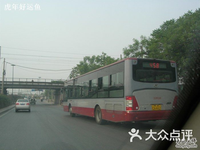 公交车(997路)-458图片-北京生活服务-大众点评网