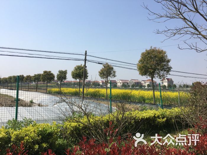 施锦标农家乐-图片-崇明县美食-大众点评网