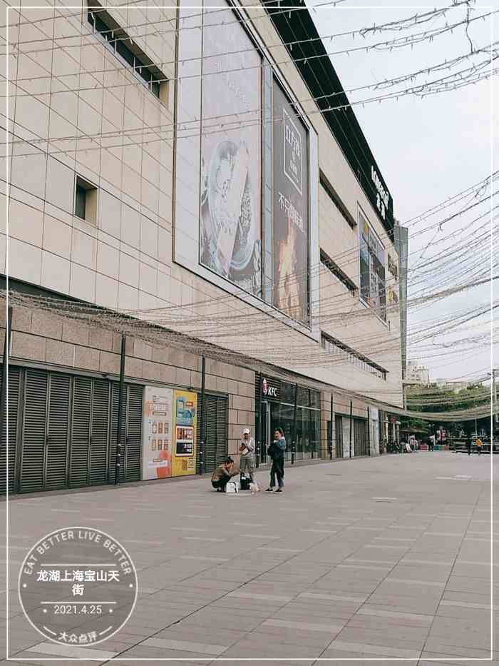 龙湖上海宝山天街-"自从家里有了吞金兽,钱就是花花去