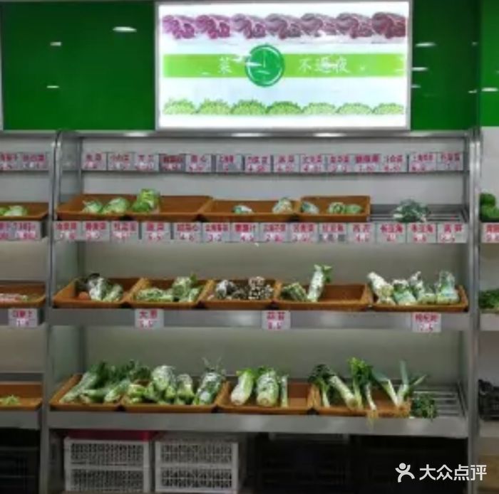 番薯藤图片 第3张