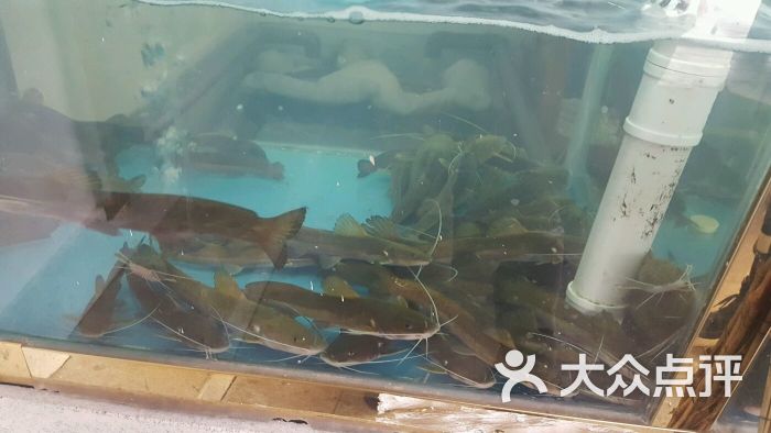 鱼痴渔醉私房菜(武昌店)图片 第859张