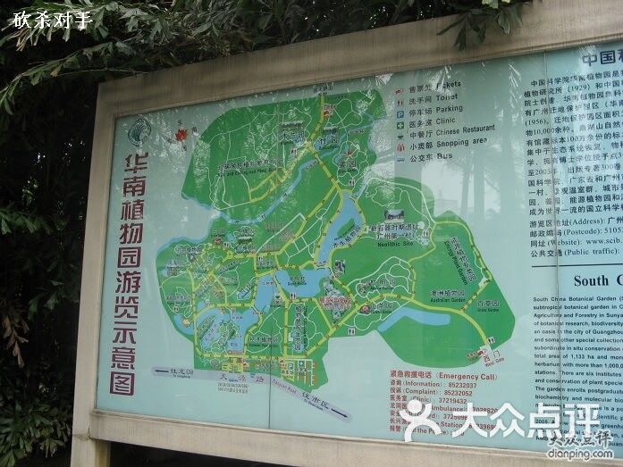 中国科学院华南植物园导游图图片-北京植物园-大众