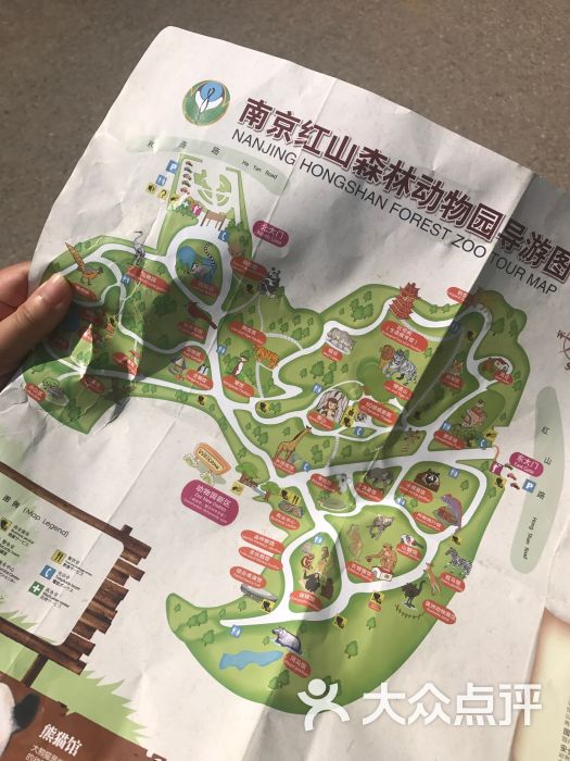 红山森林动物园图片 - 第17张