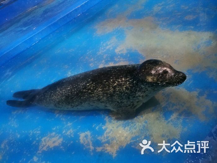 郑州海洋馆图片 第131张