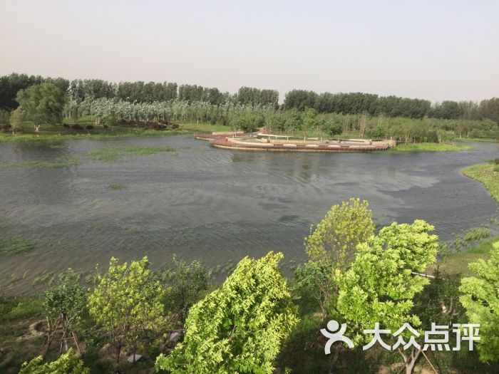 东郊湿地公园-图片-北京周边游-大众点评网
