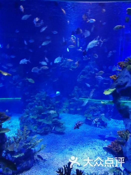 临沂极地海洋世界图片 - 第8张