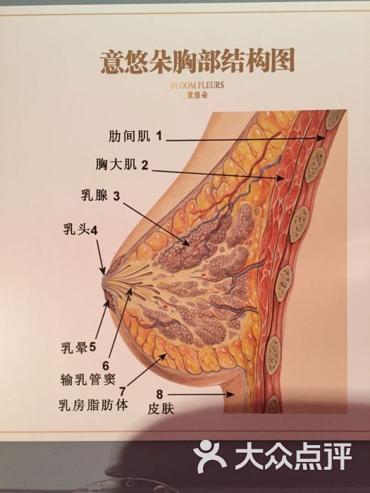 意悠朵国际美胸丰胸机构(国贸建外soho店)图片 - 第38张