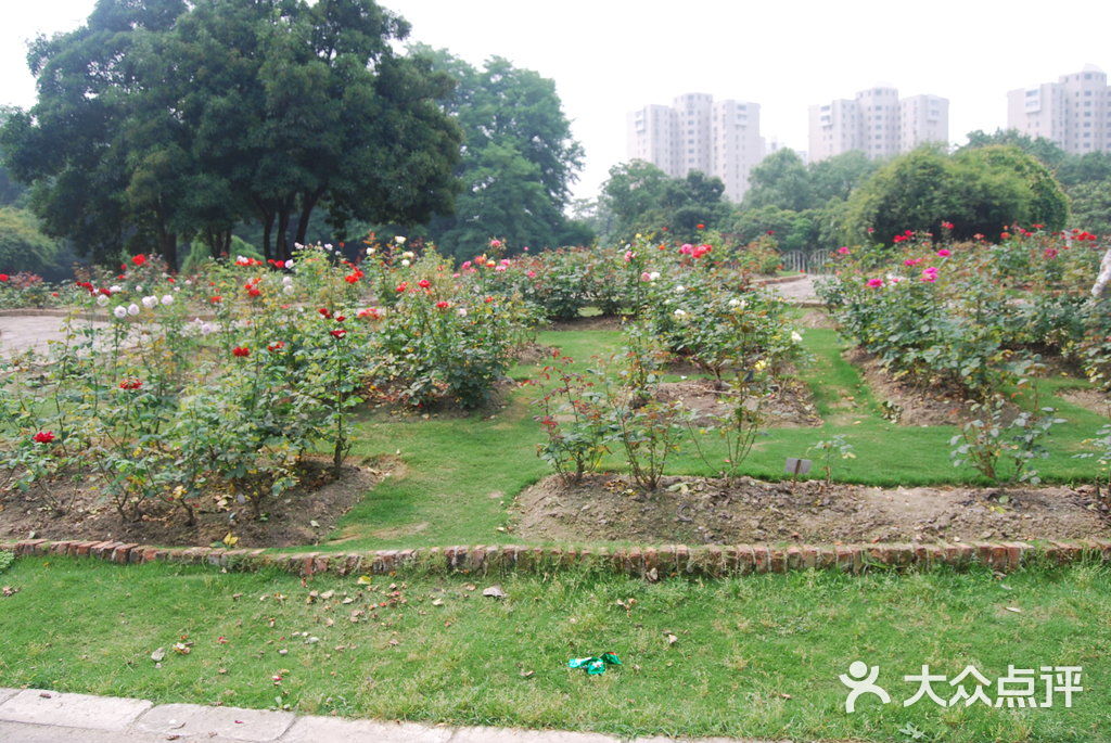 上海植物园的点评