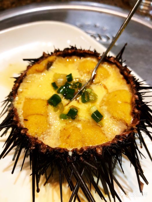 正黄旗海鲜烧烤大排档(延安路店)黑海胆原壳蒸蛋图片 - 第4167张