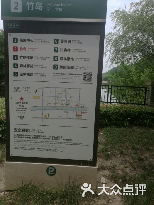 东台黄海森林公园