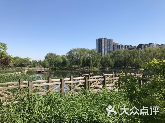 望湖公园-图片-北京周边游-大众点评网