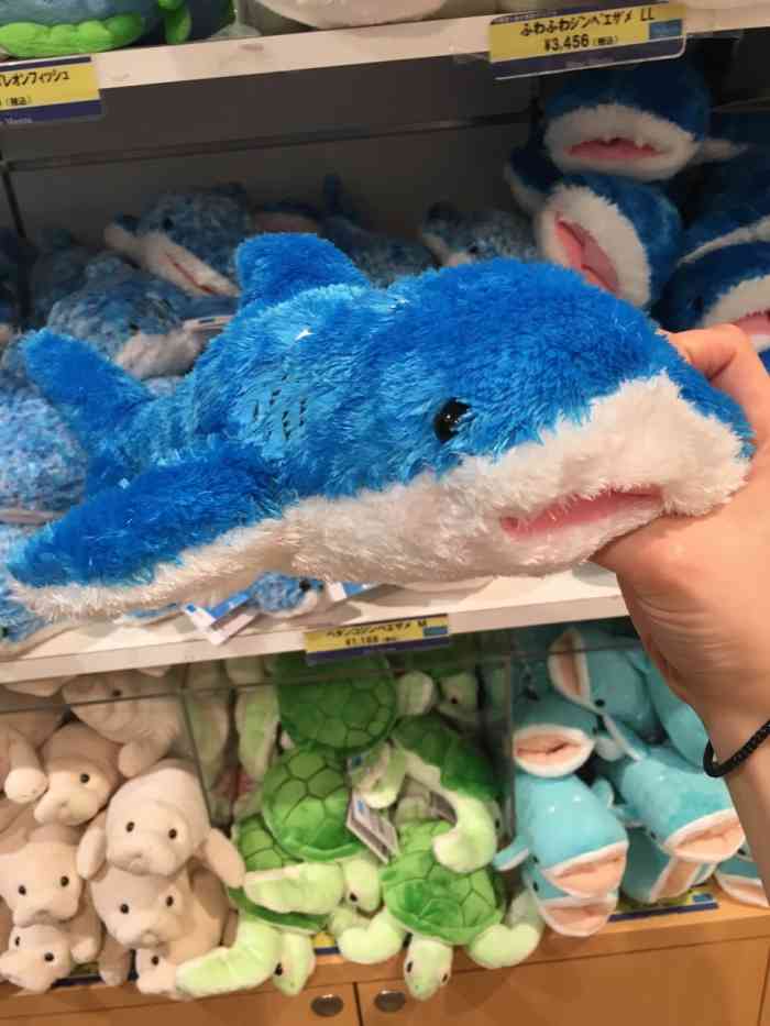 美之海水族馆纪念品-"这家店在海洋馆里面,这家海洋馆不大,很快.