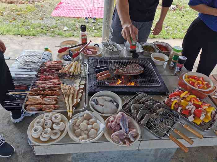 龙灵山烧烤园-"自己带的食材,那边也有可以买的一串3元起.