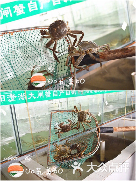 伟记莲花蟹园农家乐伟记莲花蟹园农家乐图片-北京大闸蟹-大众点评网