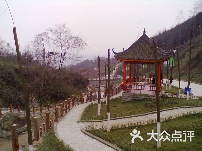 九龙山乡村旅游景区-图片-绵竹市周边游-大众点评网