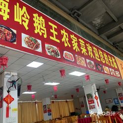 梅岭鹅王农家菜南雄店