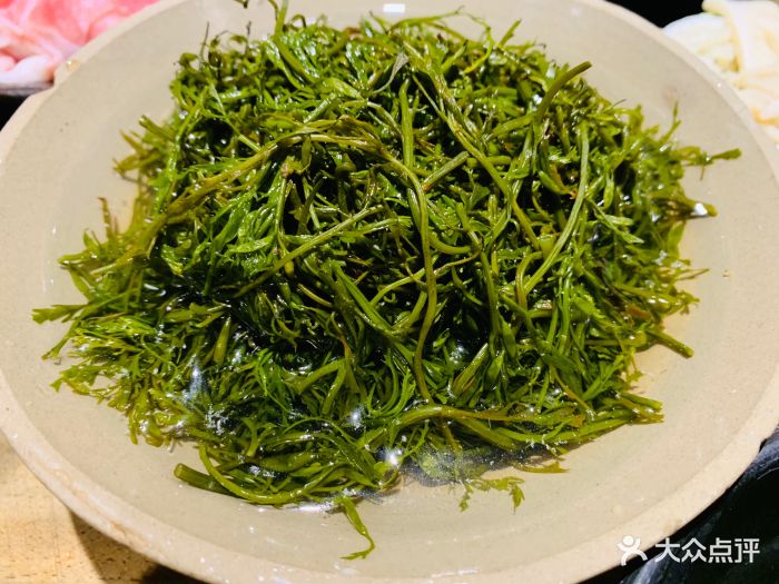 魏娘火锅の居酒屋(石人店)深海海草图片 第259张