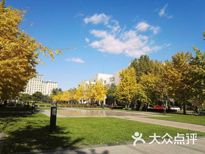 清华大学校园-图片-北京学习培训-大众点评网