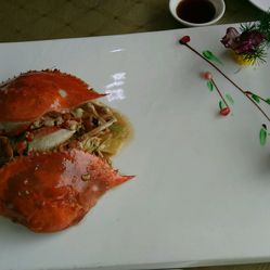 东港海鲜gdp_大连东港图片