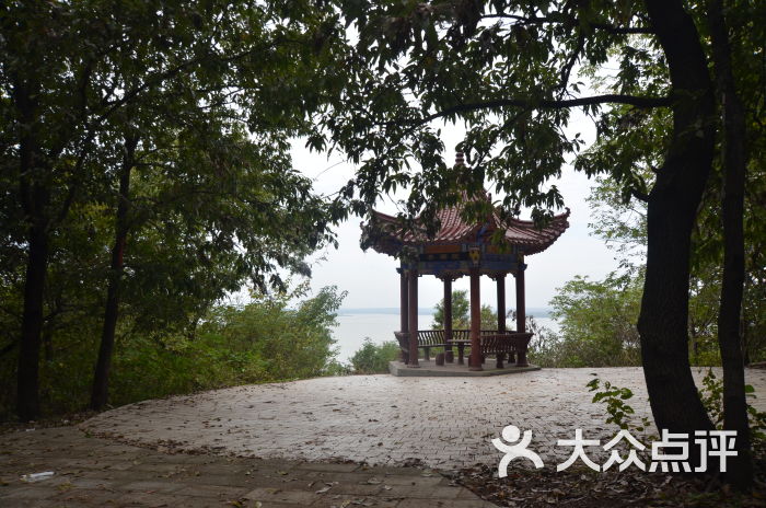 女山地质公园-图片-明光市周边游-大众点评网