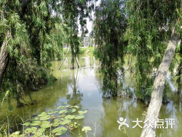 绿岛湖湿地公园图片 - 第2张