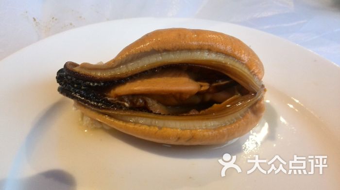 淡菜(东海夫人)