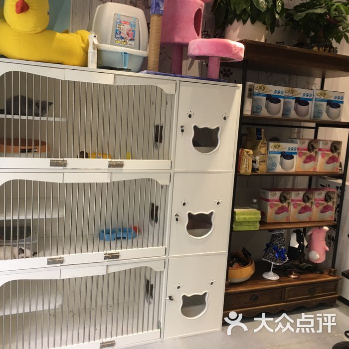 果果宠物店
