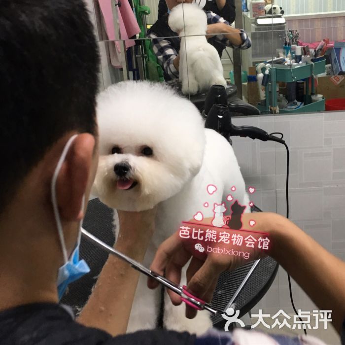 沈阳芭比熊宠物会馆