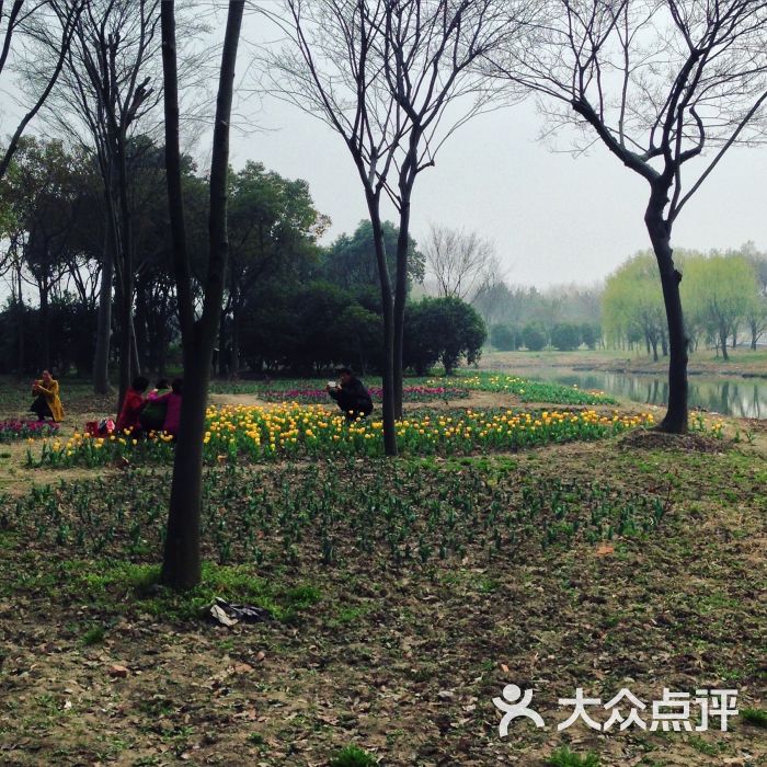 嘉兴植物园图片 - 第7张