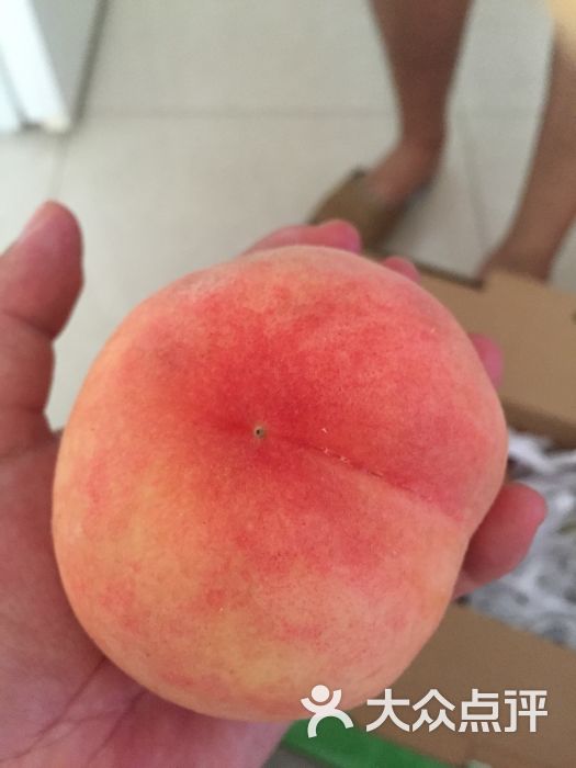 大团蜜露桃