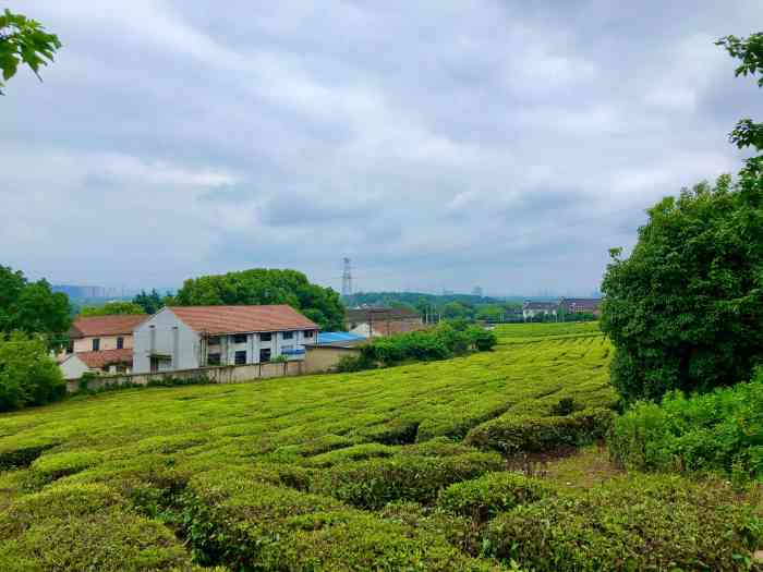 斗山农业生态园