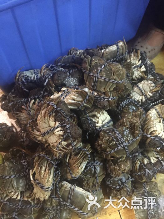 莲花岛渔家乐蟹舫(阳澄湖店)螃蟹图片 第248张