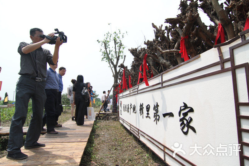 国丝文化园采桑果图片-北京其他景点-大众点评网