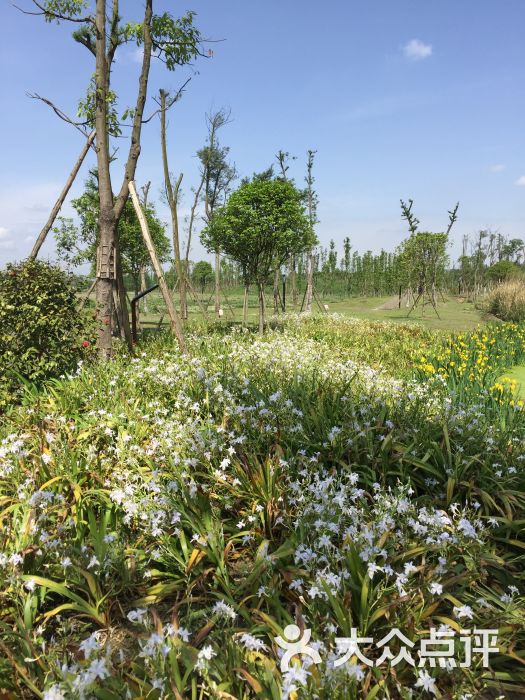 香草湖湿地公园图片 - 第3张