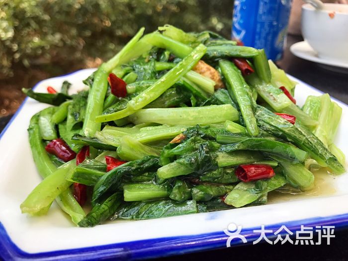 好常来湘菜馆-炝炒油麦菜图片-深圳美食-大众点评网