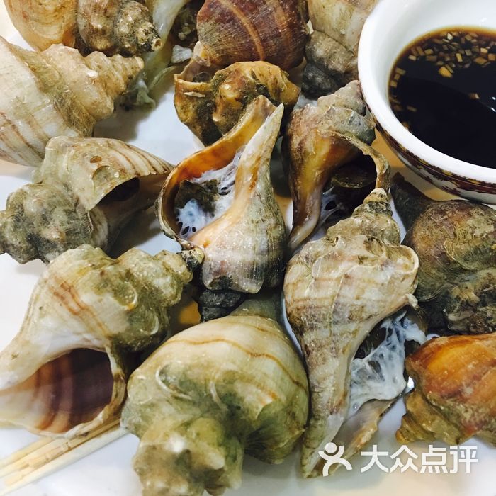 彤彤海鲜鱼馆白灼海螺图片-北京海鲜-大众点评网