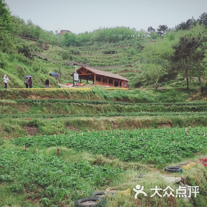英山四季花海养心苑
