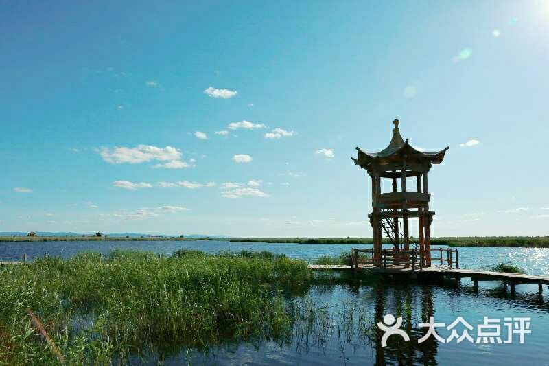 七星河湿地烤鹅-图片-宝清县美食-大众点评网