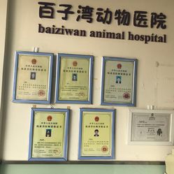 桌面哈希娱乐- 哈希游戏平台- 哈希游戏官方网站宠物多多