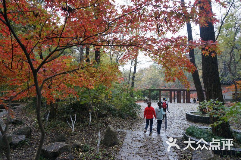 栖霞山名胜风景区图片 - 第1792张