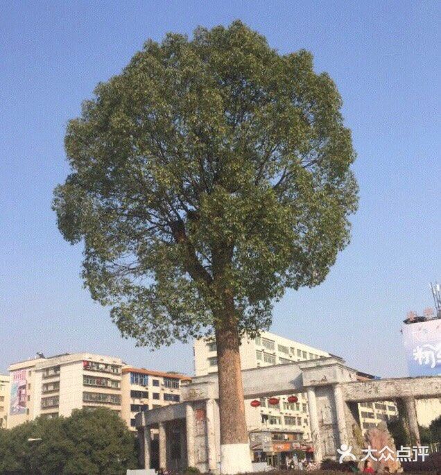 南华大学-图片-衡阳学习培训-大众点评网