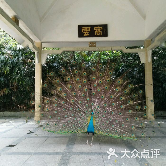 鸣春谷售票处