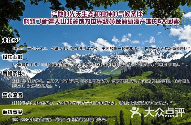 新疆天山北麓世界级黄金葡萄酒产地5大因素