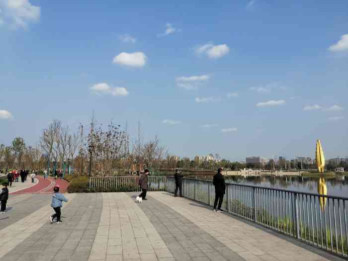 菁蓉湖生态公园-"这个公园还不错,就是交通不便,车子.