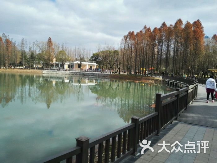 金桥公园图片 第2张