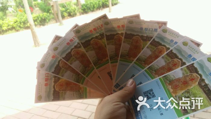 丰华园-图片-广州休闲娱乐